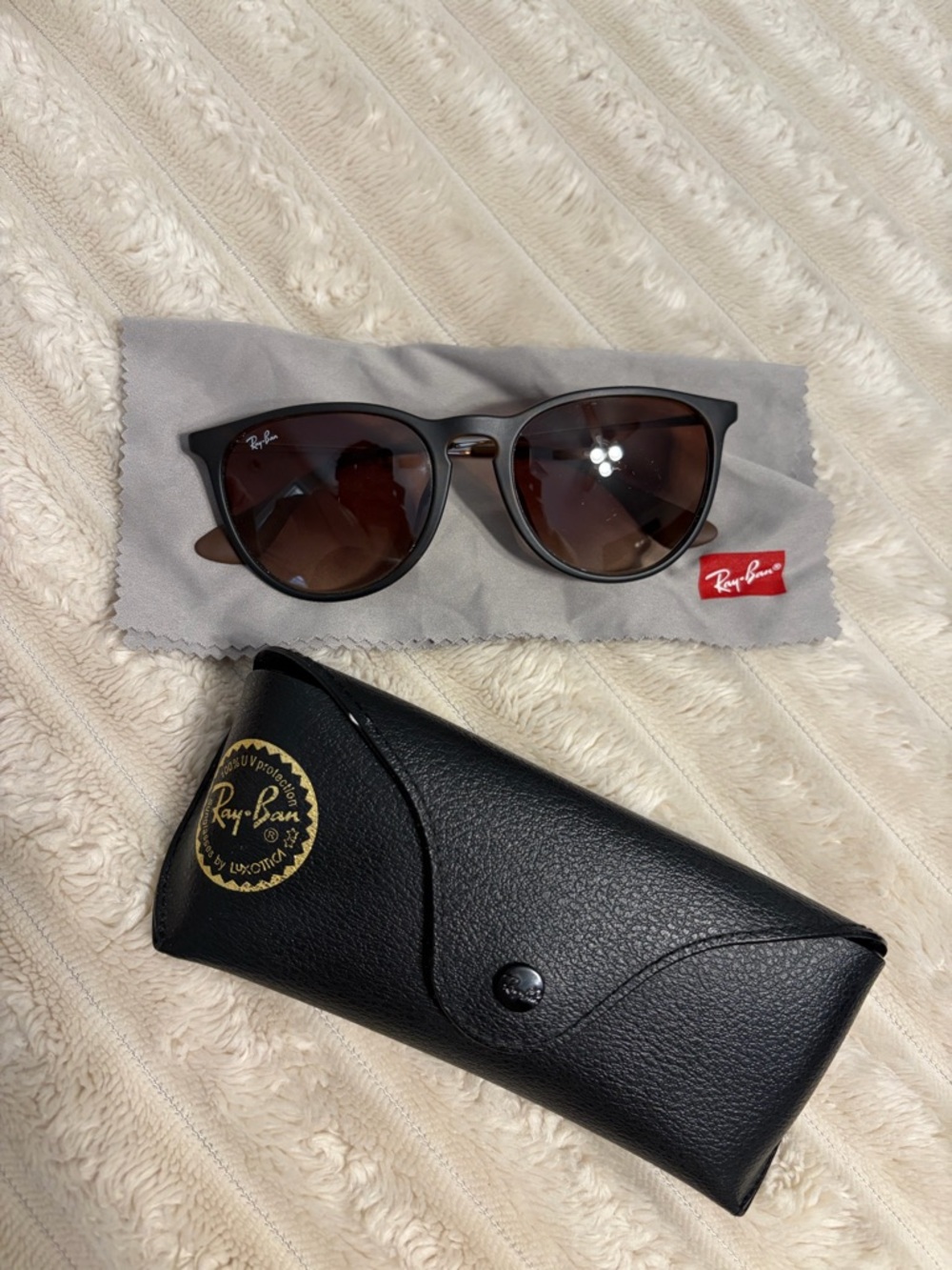 Ray-Ban Erika RB 4171 Sunglasses